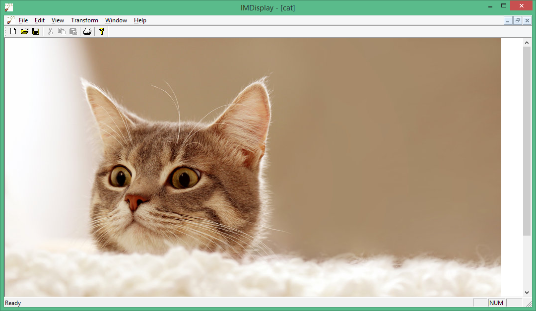 imagemagick download