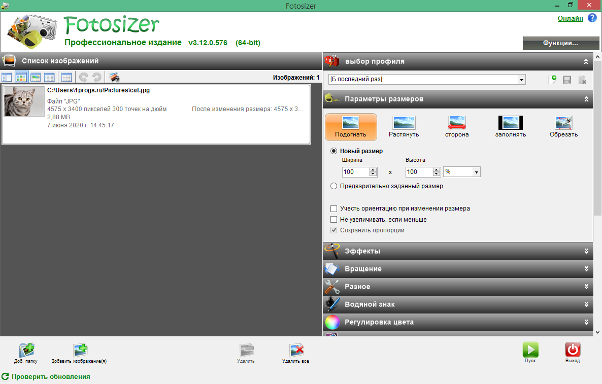 Photosizer